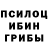 Галлюциногенные грибы Psilocybe JolyVee