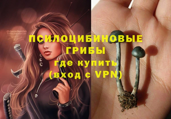 дурь Кукмор