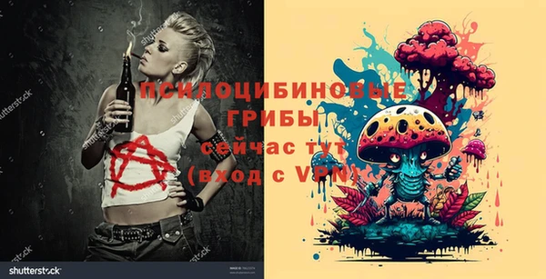 дурь Кукмор