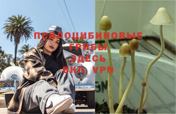 СК Куйбышев