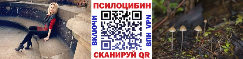 Псилоцибиновые грибы Psilocybe Наволоки